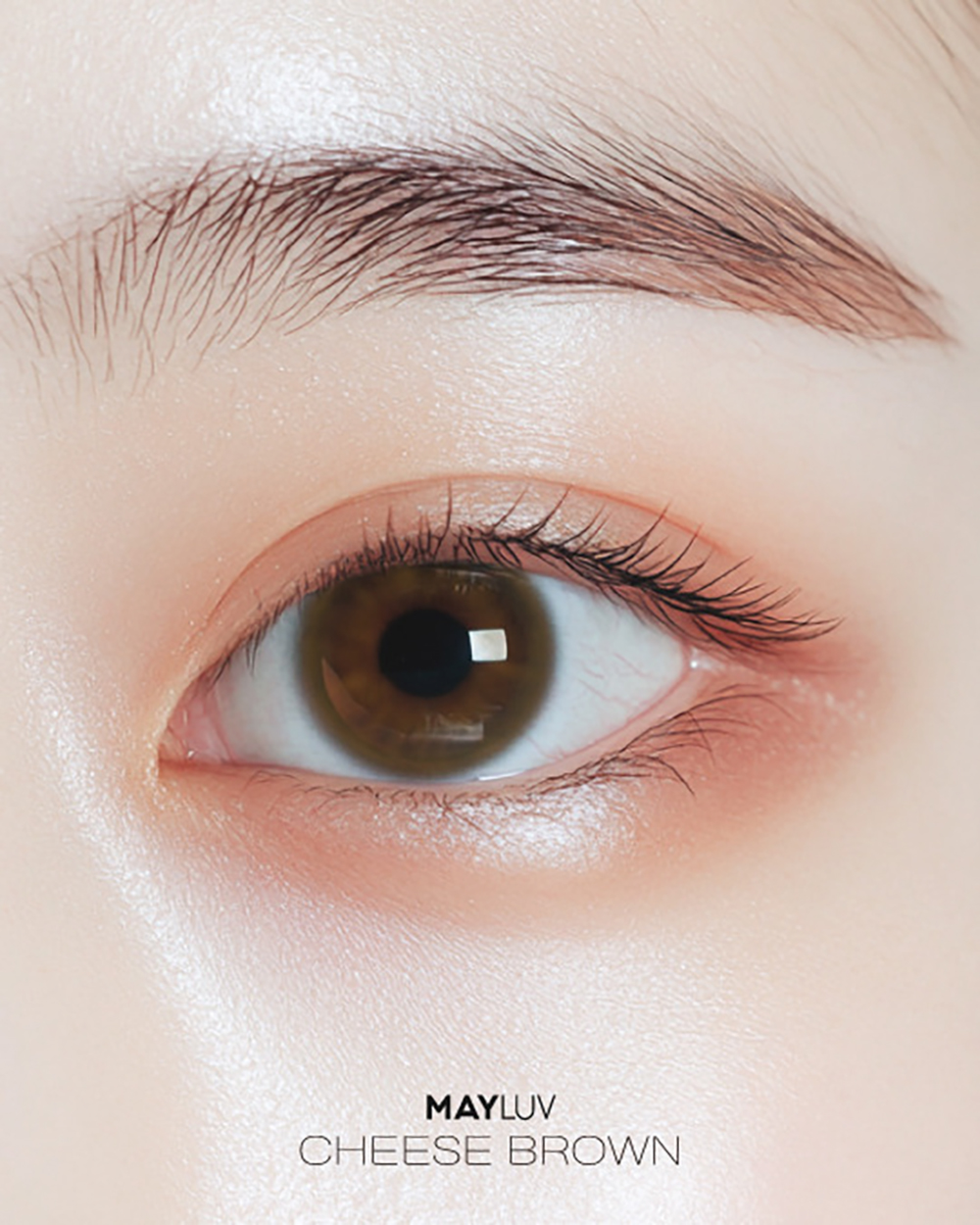 메이러브 치즈 브라운(1+1)